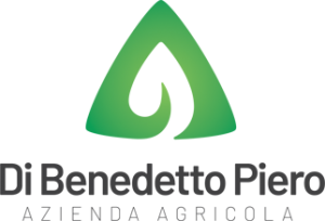 logo-home